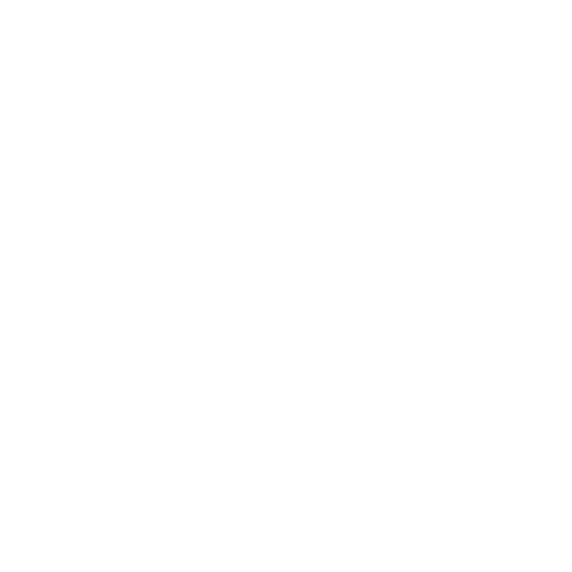 Champion_Customer_Insights